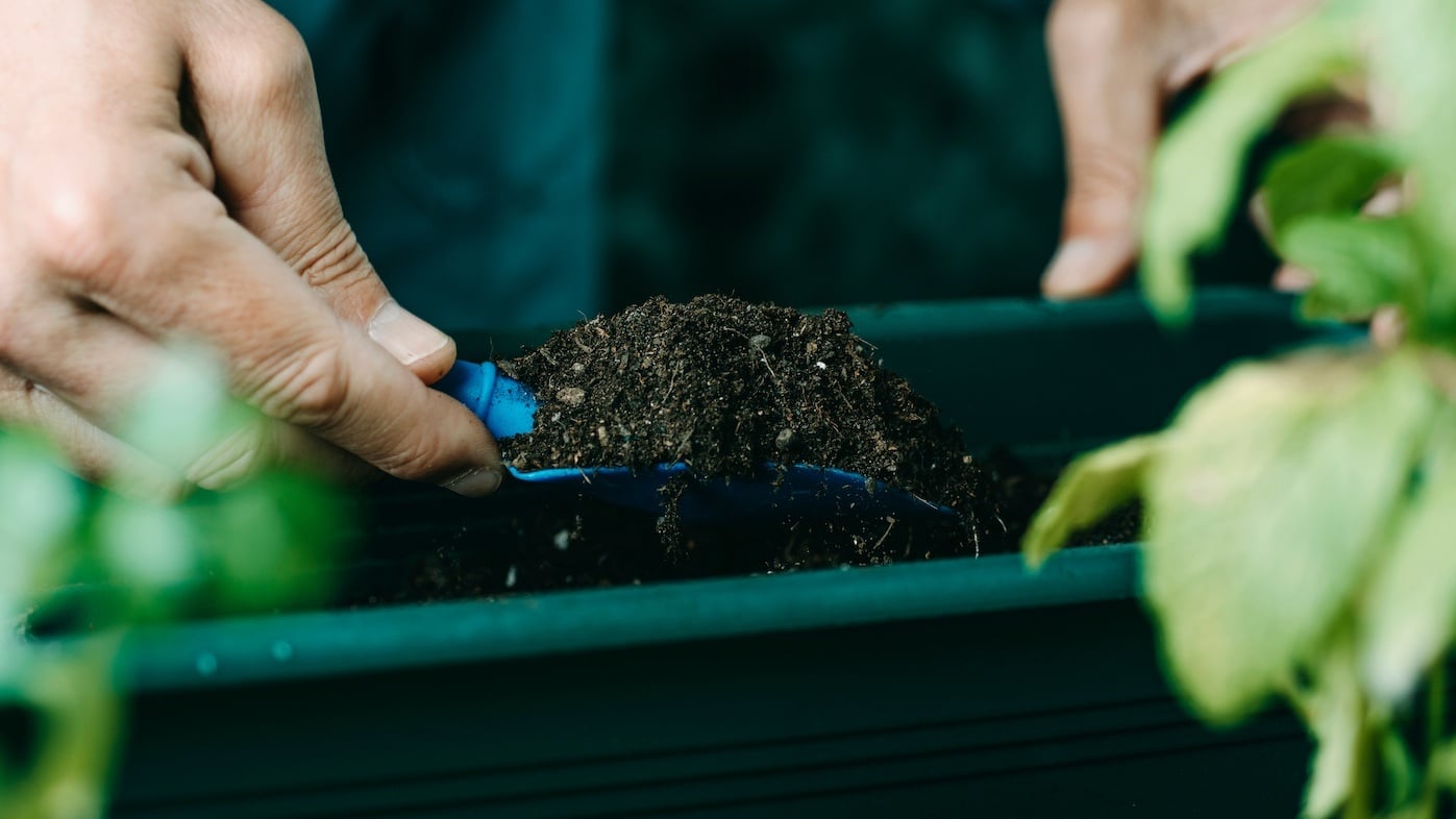 Sustainable farming and gardening is a healthy way to care for our island home. Join us Saturday, April 23, from 1-4pm at the South Shore Market courtyard as we celebrate Earth Day with an interactive build-your-own herb box workshop by Sustainable Farm and Brew, while supplies last.