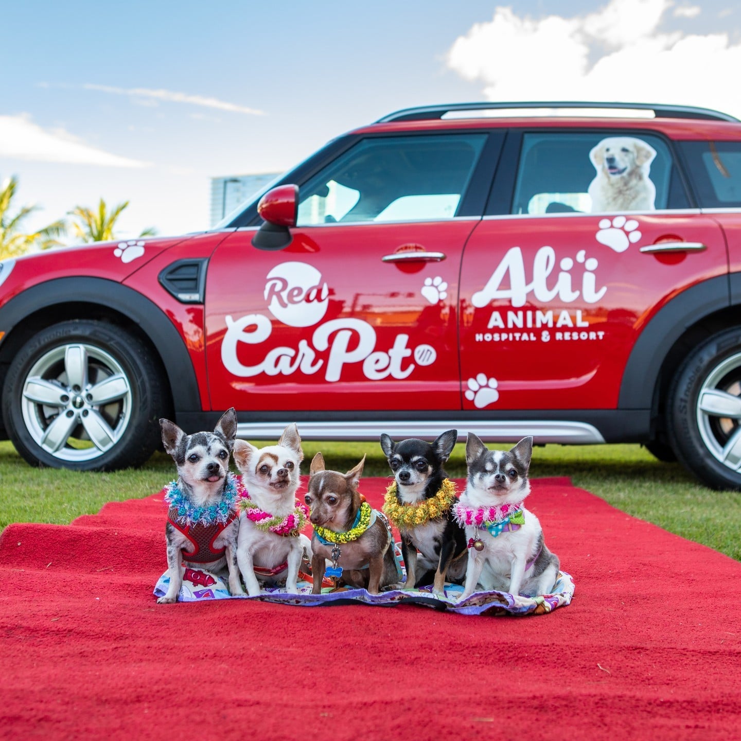 We can’t wait to celebrate all our four-legged friends on National Pet Day! Join us at Victoria Ward Park on Sunday, April 10 from 1pm-4pm. Bring your family pets for a fun afternoon with Ali‘i Animal Hospital & Resort, hosting a variety of pet stations for both owners and pets to enjoy. Plus, Paradise Pawz will be offering organic goodies for your pups, while supplies last. Check out the link in our bio for more information!