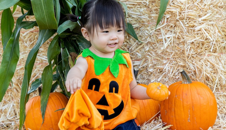 Halloween Celebration & Pumpkin Patch