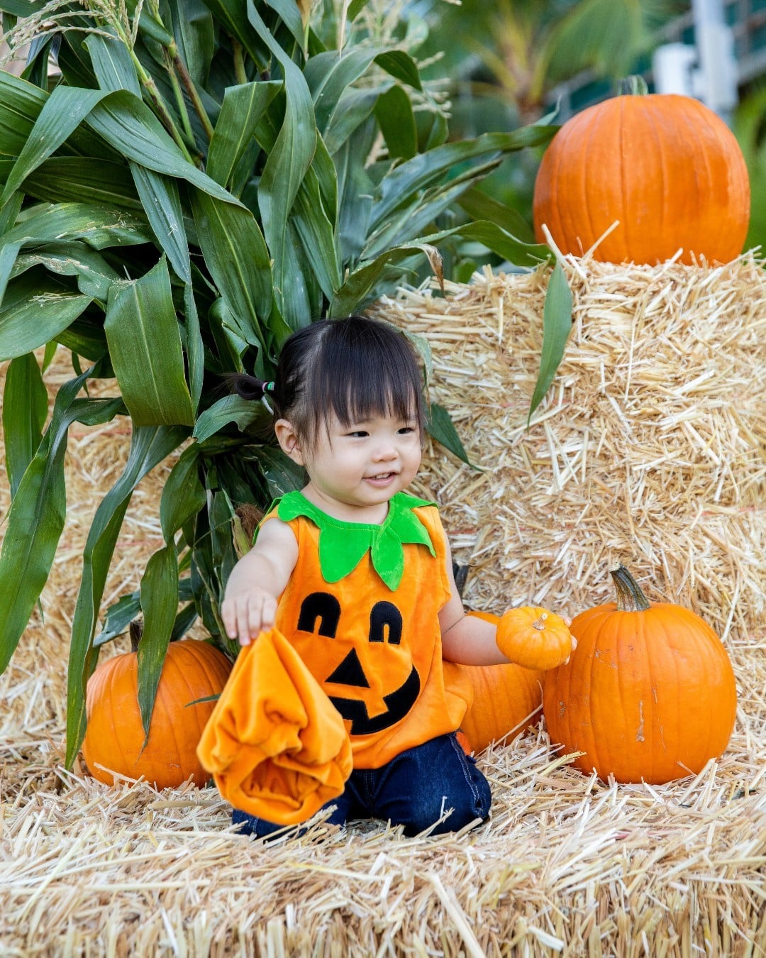 Discover all things autumn at our Halloween Celebration & Pumpkin Patch on Saturday, October 29 from 10am - 1pm at Victoria Ward Park. Arrive early to pick out a pumpkin, decorate a Halloween mask, treat yourself to a shave ice and snap your best spooky or silly picture, while supplies last.