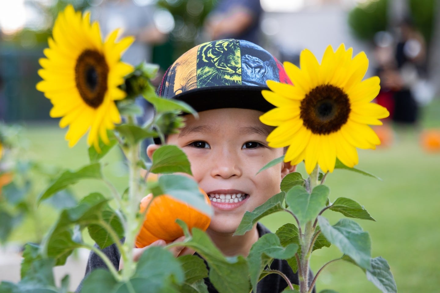 Don’t miss our Halloween Celebration & Pumpkin Patch on Saturday, October 29 from 10am – 1pm at Victoria Ward Park. Come early to pick a pumpkin, decorate a mask, enjoy shave ice, and snap your best spooky or silly picture, while supplies last.