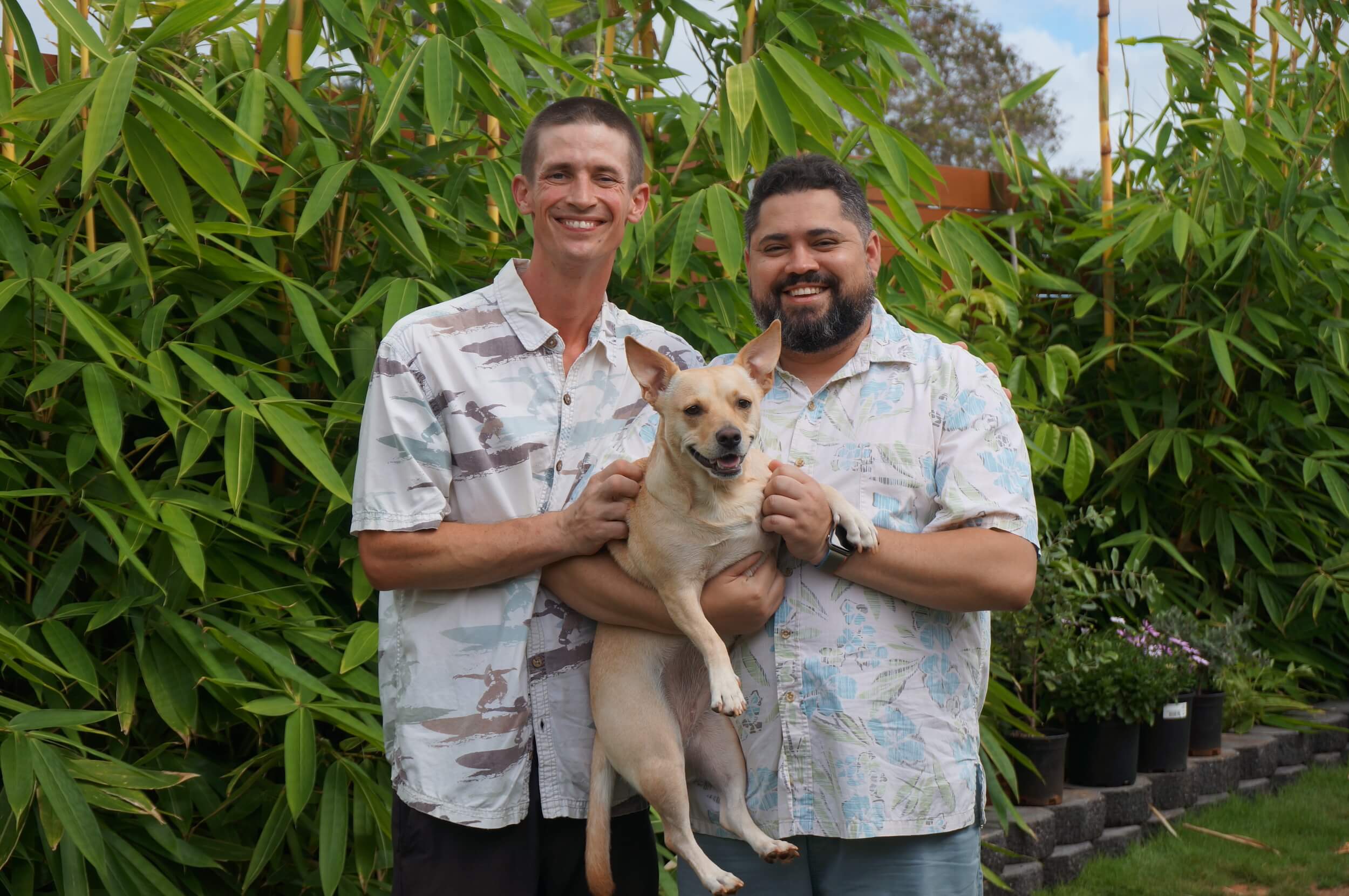 Two men holding a dog in front of a wall of plants.