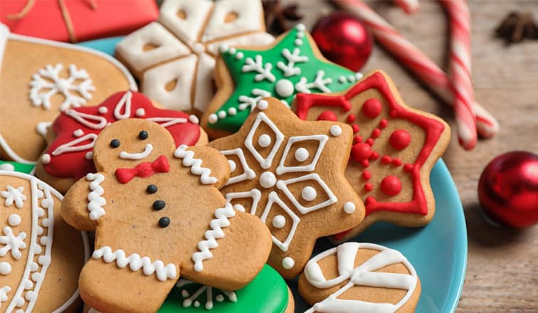 Holiday Workshops