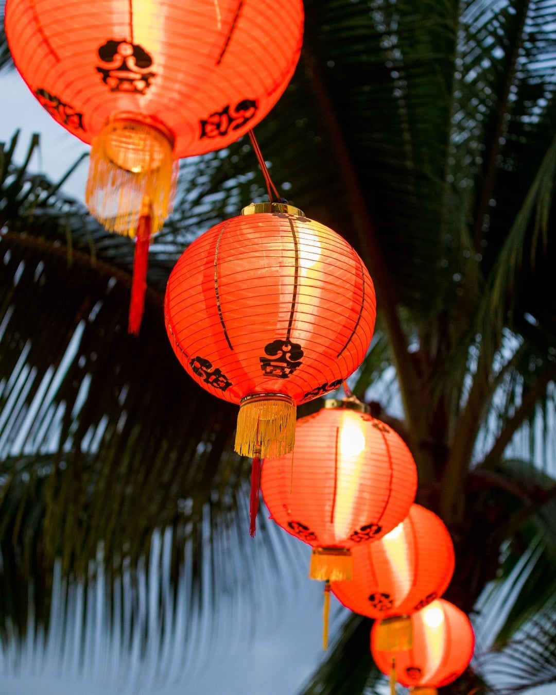 Celebrate the Lunar New Year at Ward Village! From January 22 to February 6, discover lucky lion photo opportunities, find festive lanterns at Victoria Ward Park and stop by participating retailers handing out special red envelopes with good luck wishes (while supplies last). #wardvillage #lunarnewyear #lunarnewyearhawaii #hawaii #oahu