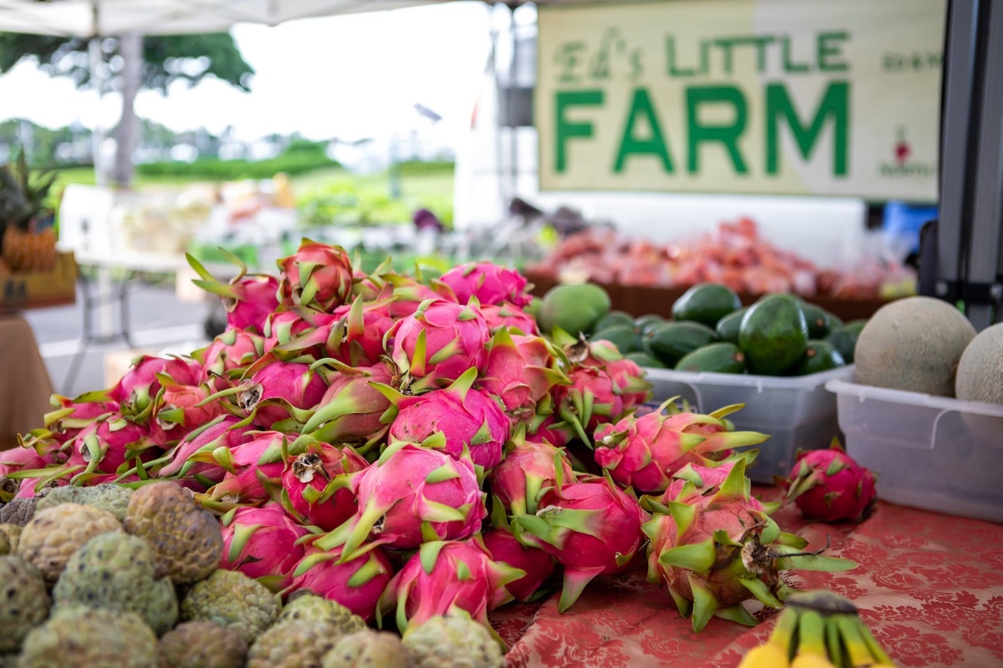 Stay on track with your New Year’s resolutions at the Kakaʻako Farmers Market! Find healthy, fresh local produce, artisan snacks and grab-and-go eats every Saturday from 8am - 12pm. Learn more in our link in bio.