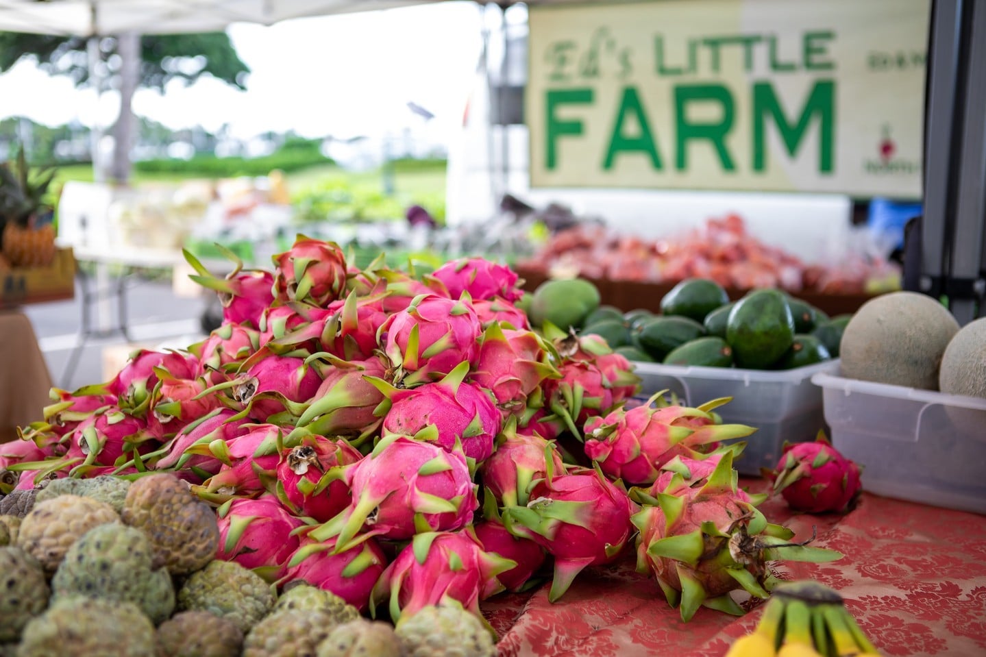 Stay on track with your New Year’s resolutions at the Kakaʻako Farmers Market! Find healthy, fresh local produce, artisan snacks and grab-and-go eats every Saturday from 8am – 12pm. Learn more in our link in bio.