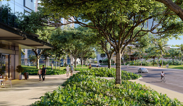 Proposed landscaping along Auahi Street.