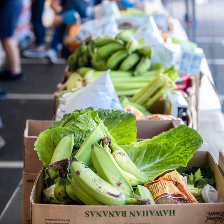 Join us in nourishing local families by supporting Hawai‘i Foodbank with monetary and canned food donations at the Kakaʻako Farmers Market this Saturday, March 11 from 8am – 12pm. Visit www.HawaiiFoodbank.org for their most needed items. Photo credit: @hawaiifoodbank