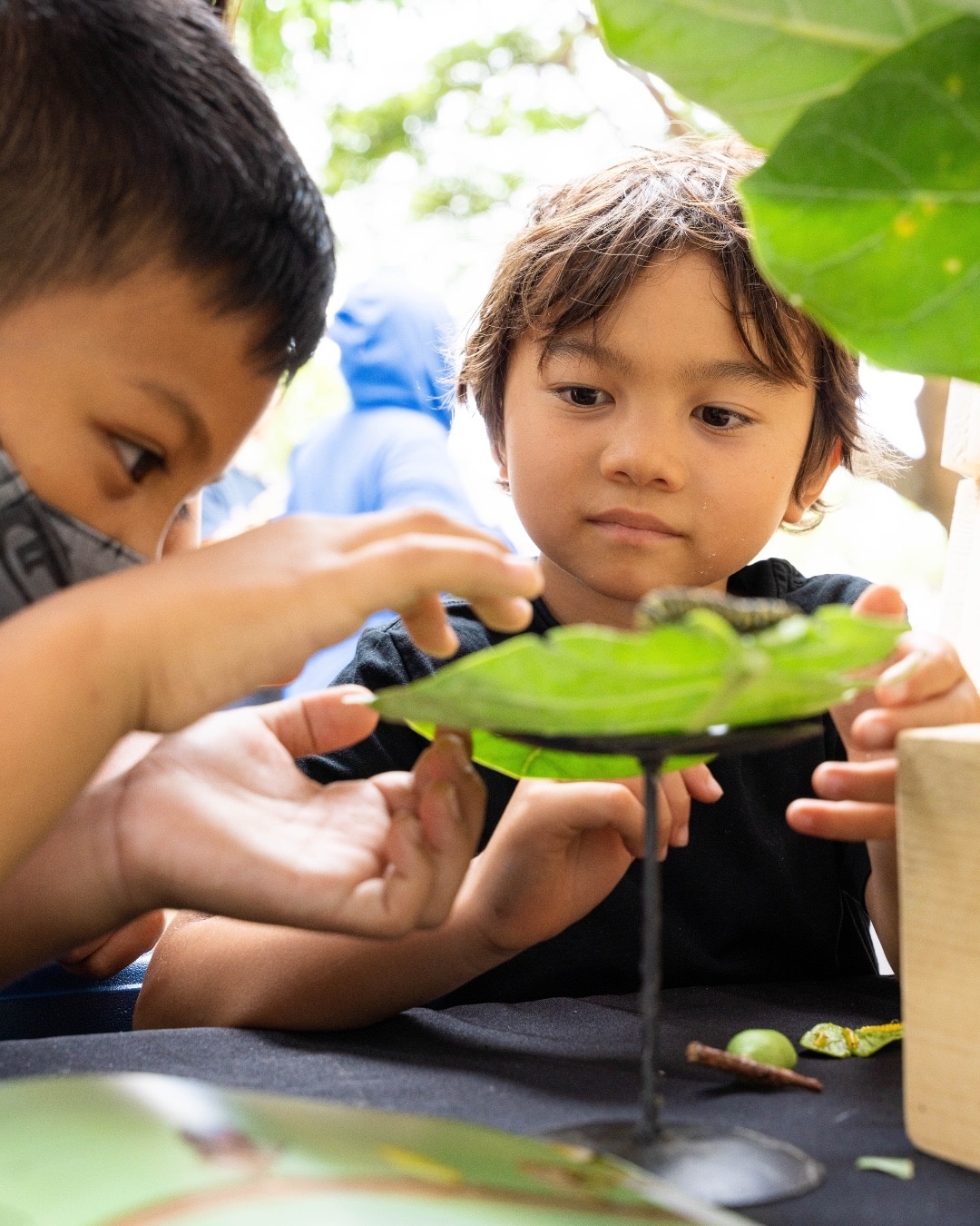 Celebrate Earth Day with us on Saturday, April 22 from 1pm – 4pm at the South Shore Market Courtyard. We have teamed up with Sustainable Farm &amp; Brew to offer four activity stations, including a butterfly art station, flower pen making crafts, caterpillar experience, and a seasonal photo op. Visit at least three stations, and you’ll receive a self-watering planter! @lemonsupply1975 will be serving sustainable treats including lemonade and lemon peel jerky samples. All offerings are complimentary while supplies last.