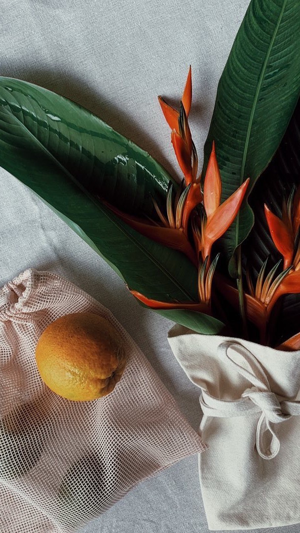 Join us in welcoming @for_simplesustainability to the neighborhood. Shop beautifully curated intentional pieces and sustainable swaps for your everyday favorites. Now open in Ward Centre.