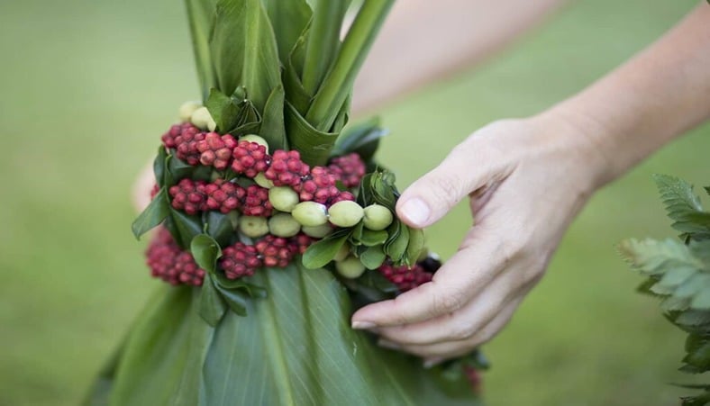 hand holding plant