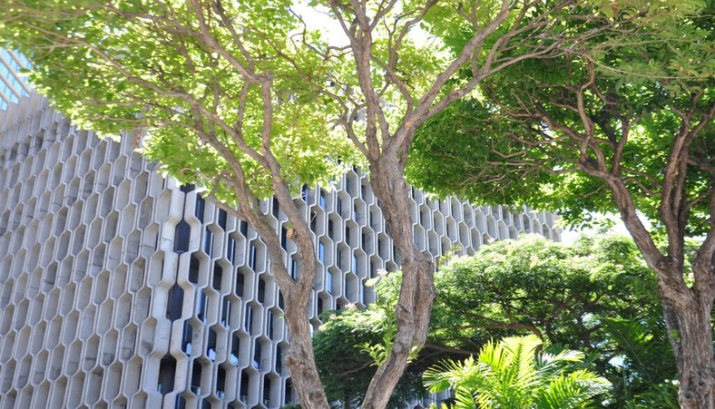 Outside shot of IBM building and trees