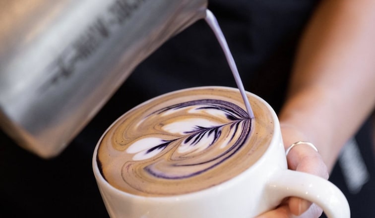 barista pouring cream in an ube drink