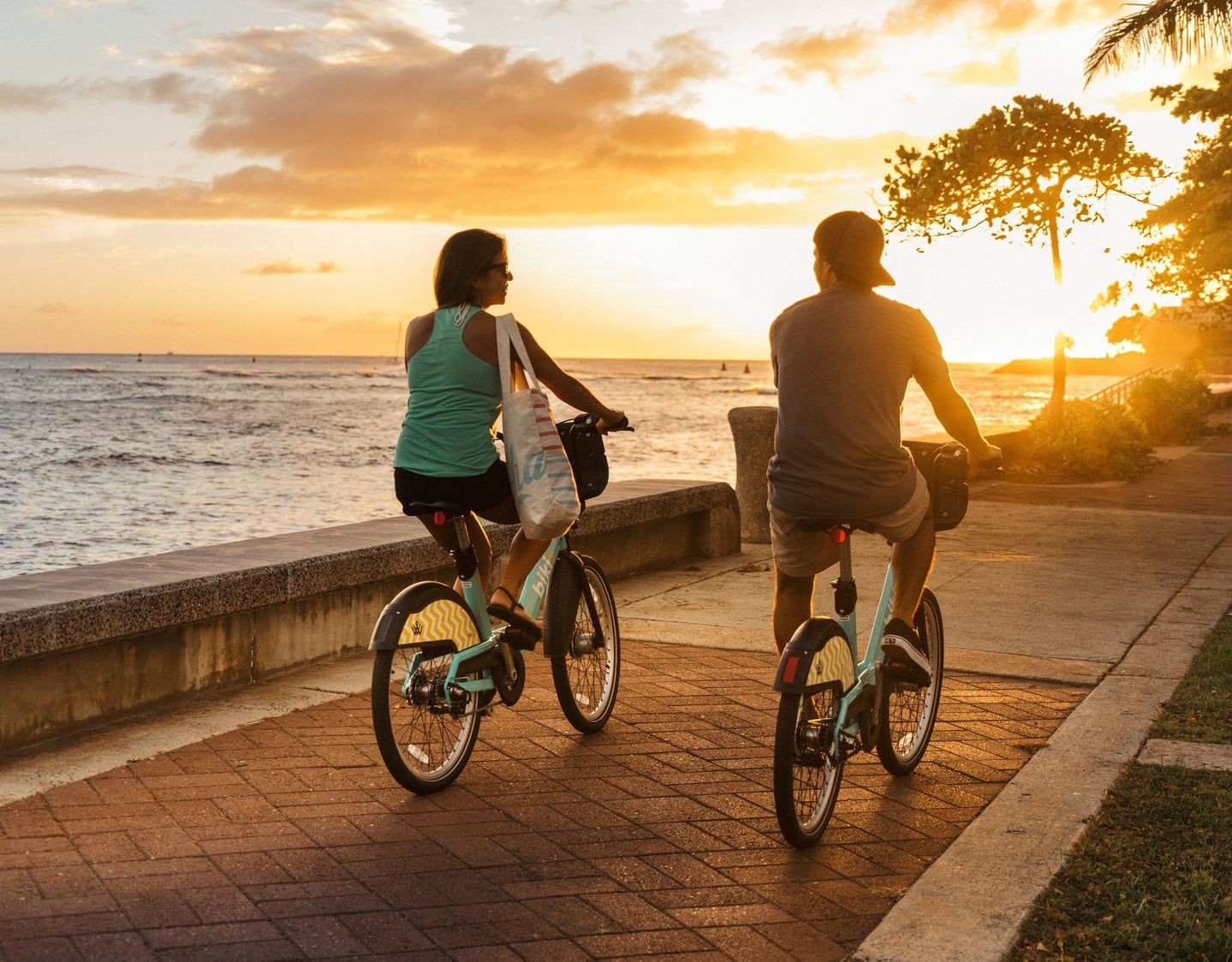 Get outside and enjoy the neighborhood by bike! Cruise down bike-friendly streets, pedal along scenic parks and coastlines, and stop for a picnic break under a monkeypod tree.
