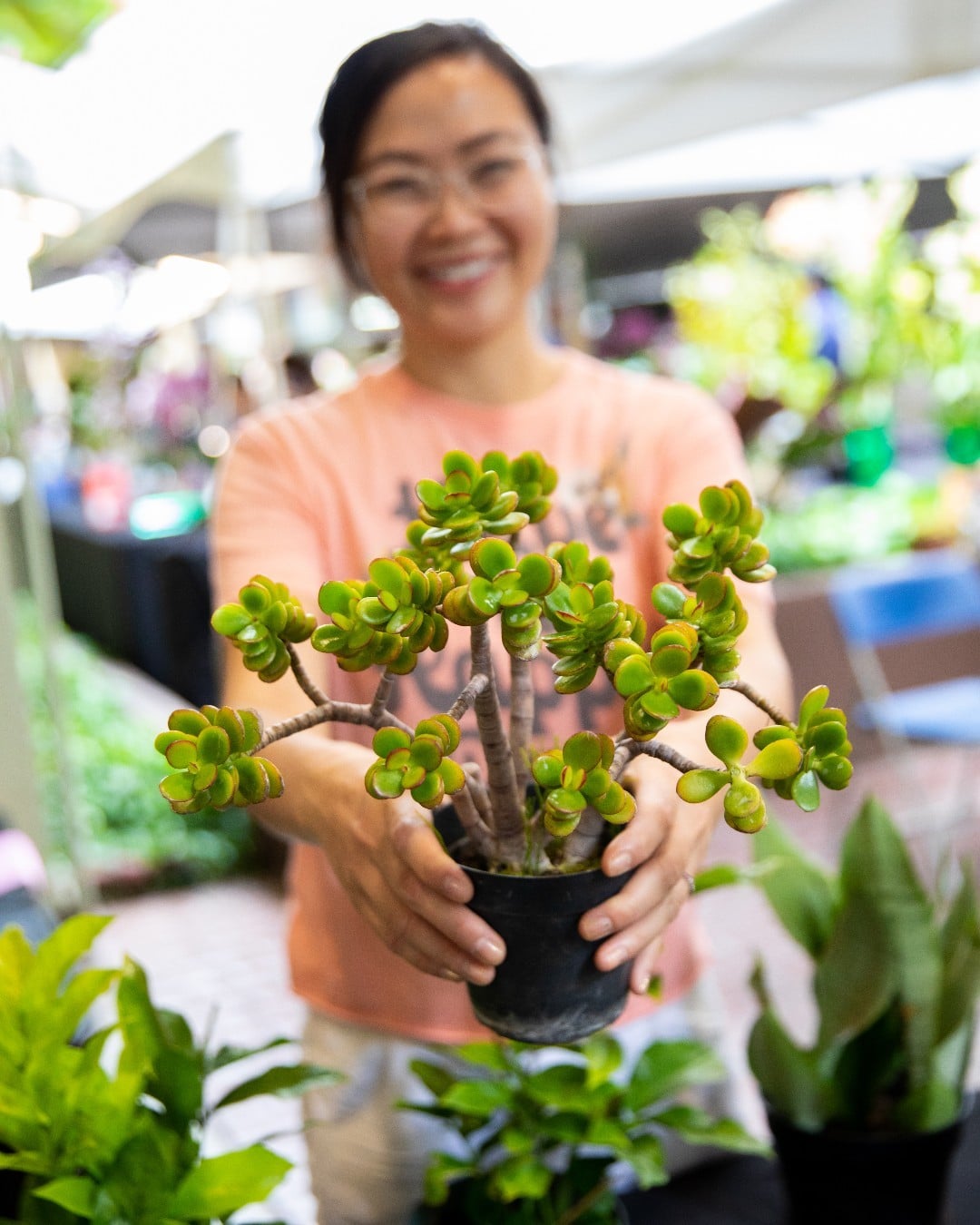Join us for Bloom! Garden & Art Festival on Saturday & Sunday, November 18 & 19 at Ward Centre and South Shore Market. From 10am to 4pm, shop for plants from local nurseries, browse pottery and handmade items, attend free workshops, and more.