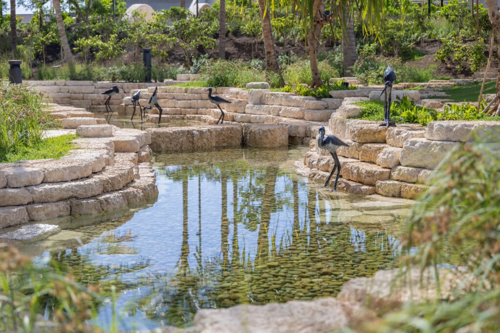 Aeʻo Birds By Dan Ostermiller